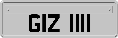 GIZ1111