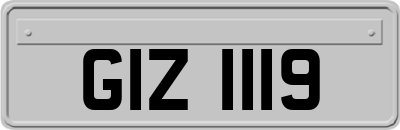 GIZ1119