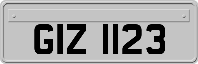 GIZ1123