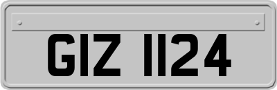 GIZ1124