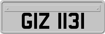 GIZ1131