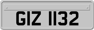 GIZ1132