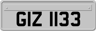 GIZ1133