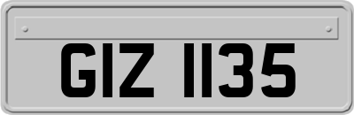 GIZ1135