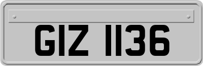 GIZ1136