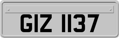 GIZ1137
