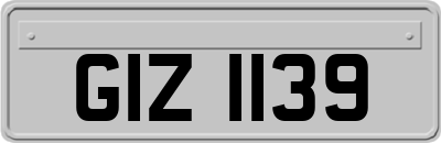 GIZ1139