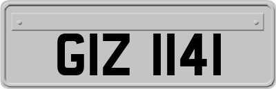 GIZ1141