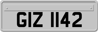 GIZ1142