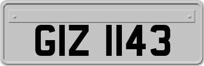 GIZ1143