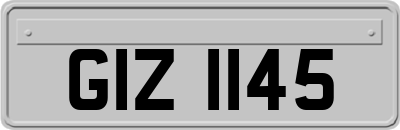 GIZ1145