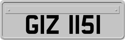 GIZ1151