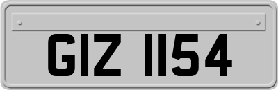 GIZ1154