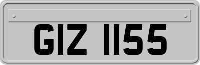 GIZ1155