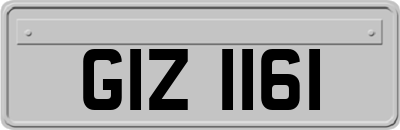 GIZ1161