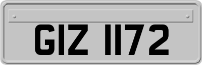 GIZ1172