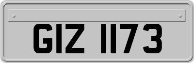 GIZ1173