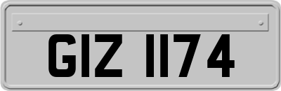 GIZ1174