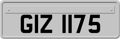 GIZ1175