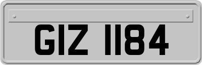 GIZ1184