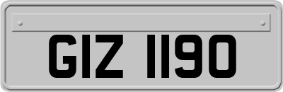 GIZ1190
