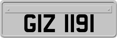 GIZ1191