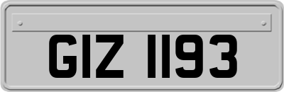 GIZ1193