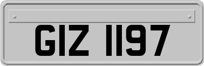 GIZ1197
