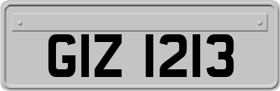 GIZ1213