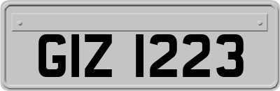 GIZ1223