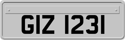 GIZ1231