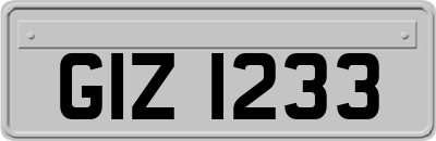 GIZ1233