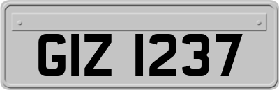 GIZ1237