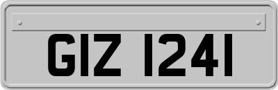 GIZ1241