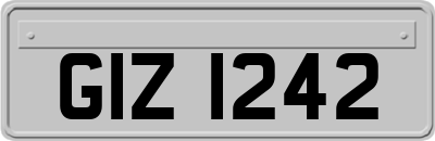 GIZ1242