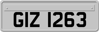 GIZ1263