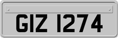 GIZ1274