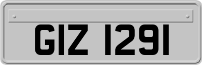 GIZ1291