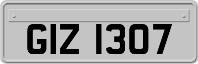GIZ1307