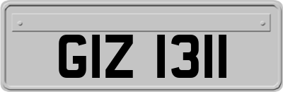 GIZ1311
