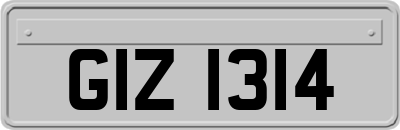 GIZ1314