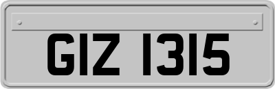 GIZ1315