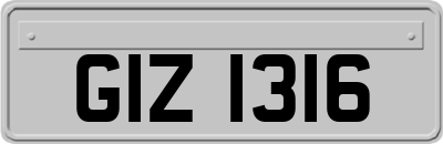 GIZ1316