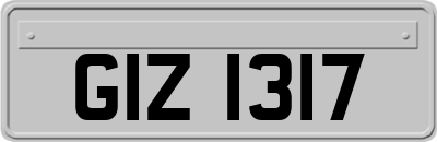 GIZ1317