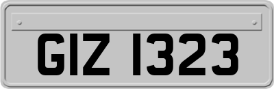 GIZ1323