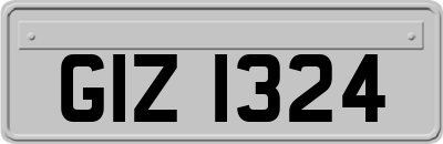 GIZ1324