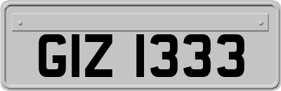 GIZ1333