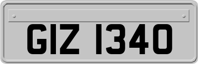 GIZ1340