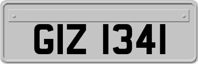 GIZ1341