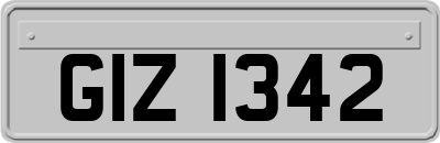 GIZ1342